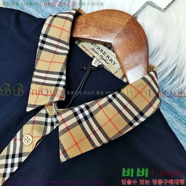   ǽ BU21277-2